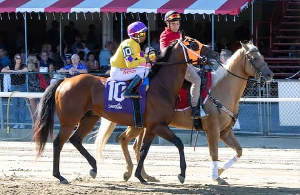 Sunday works: 17 graded-stakes winners are on the tab