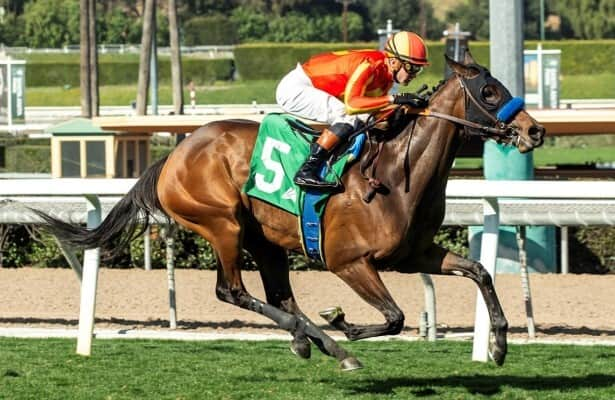 Santa Anita: Cutback looks super for Casalu in Sweet Life