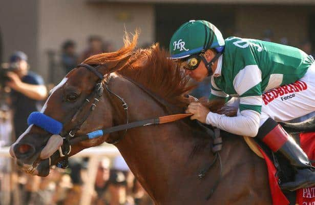 Reports: Stallion Catalina Cruiser moves from Kentucky to Chile