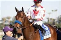 /horse/Cavalieri 1 progeny