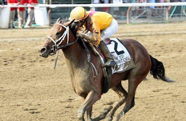Cavorting passes the Test with flying Stonestreet colors