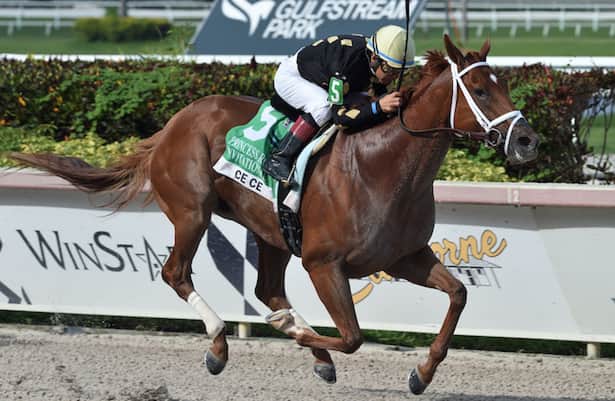 Works report: 45 graded-stakes winners take to the track 