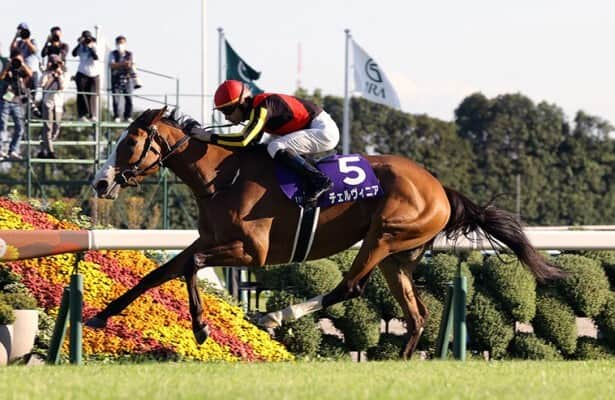 Japan: 6-5 favorite Cervinia draws away to score in Shuka Sho