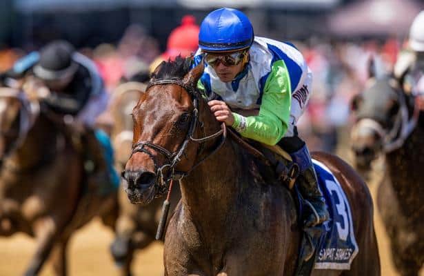 Chalon may race at age 6 after heading Belmont's Pumpkin Pie