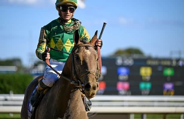 Chancer McPatrick tops first pool of Kentucky Derby Future Wager