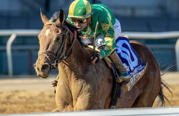 Chancer McPatrick pops open in stretch, wins Champagne