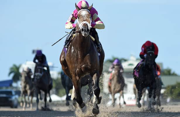 How to bet Belmont's $63,176 Pick 6 carryover Saturday