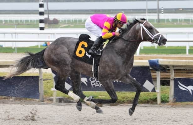 Charge It returns a winner at Gulfstream Park 