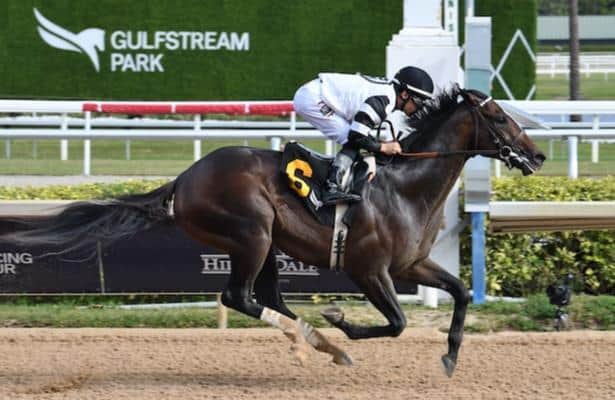 Kentucky Derby watch: Mott debuts 2 impressive colts