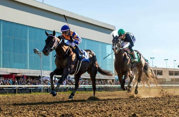 Zipse: Preakness participants shine brightly in the Ohio Derby
