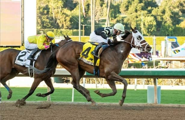 Los Al: Chismosa, Elm Drive lead nominees for Great Lady M