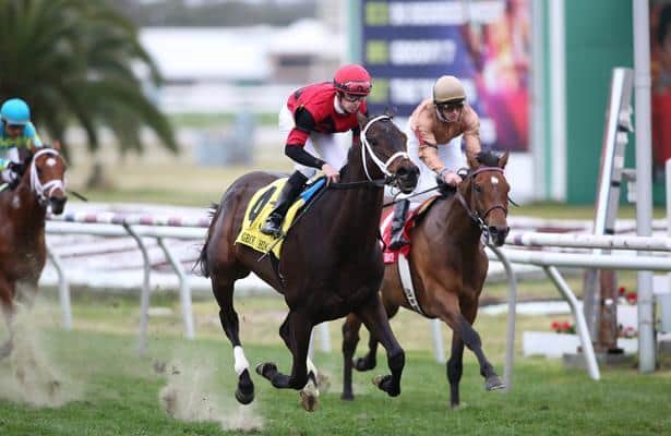 Face Off Likely for Chocolate Ride, String King