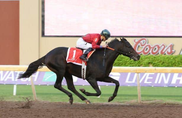 Chocopolgie smooth as silk in Governor's Cup