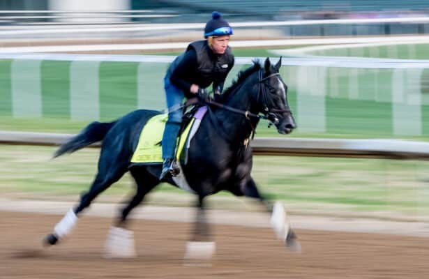 Zipse: Bargain buy Chunk of Gold is striking it rich on track