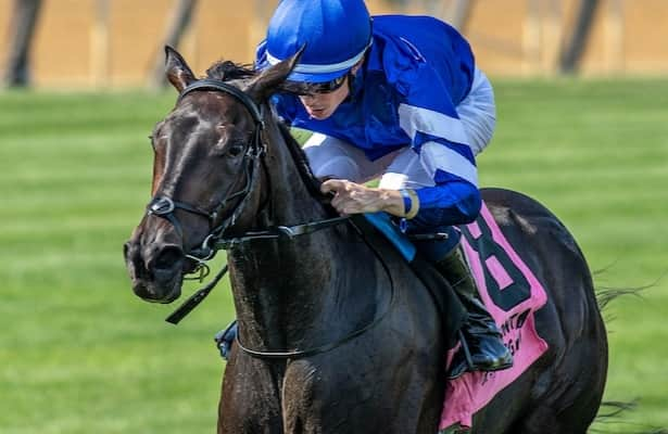 Horses to Watch: Cinderella’s Dream, Sweet Azteca set records