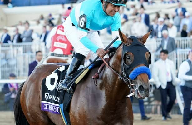 Friday works: Breeders’ Cup winner Citizen Bull leads 17