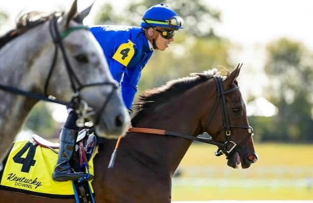 Gulfstream: Civetta looks for 1st graded win in Herecomesthebride