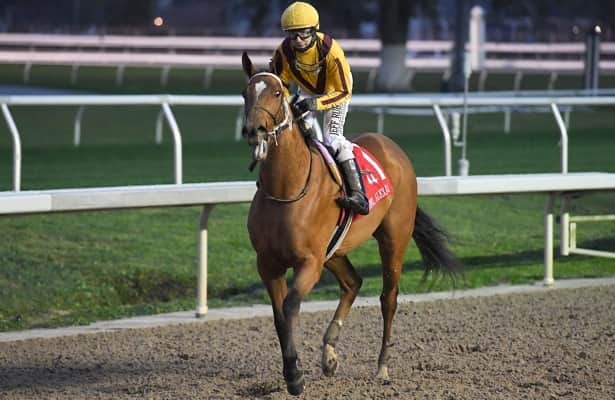 Asmussen's Ky. Oaks contenders lead Sunday work tab