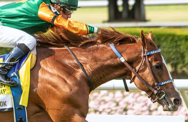Derby Alumni: 4 horses return to action this weekend
