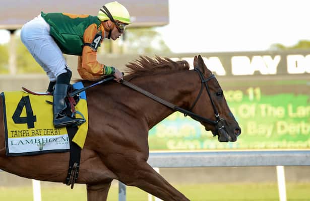 Classic Causeway looks for a comeback under McPeek