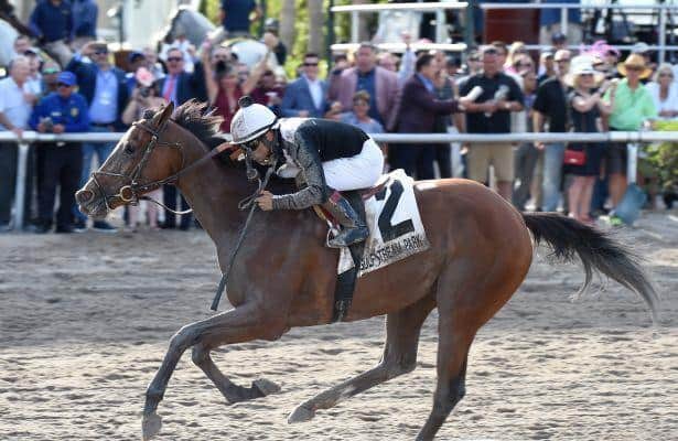 Weekend Watch: Black-Eyed Susan featured at Pimlico