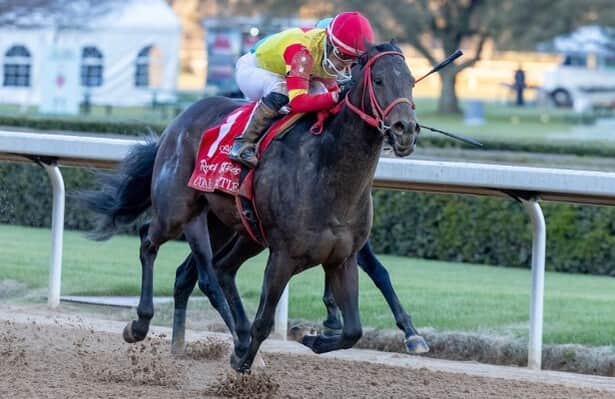 Coal Battle does it again, wins Rebel & berth in Kentucky Derby