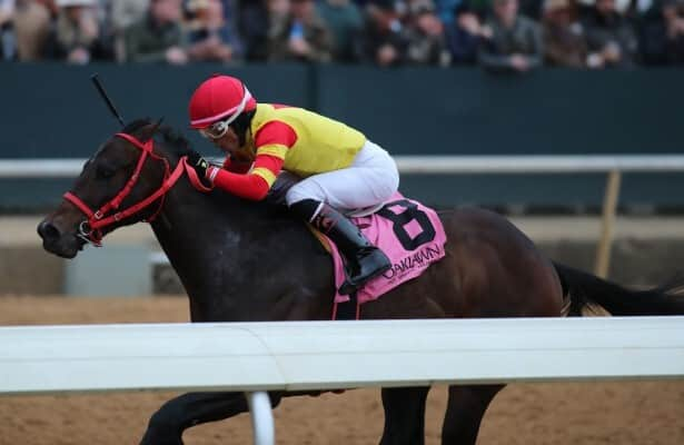 Coal Battle wins 2nd straight prep for Kentucky Derby 2025