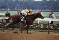 Coastal wins the 1979 Belmont Stakes