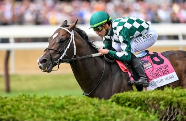 Monday works: Cogburn does final drill before BC Turf Sprint