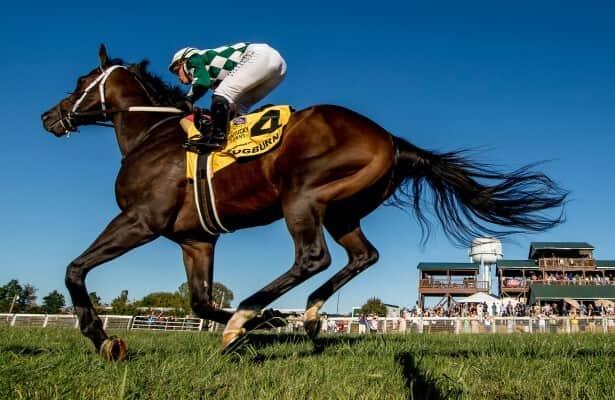 2.5% stallion share of Cogburn will be auctioned via Keeneland