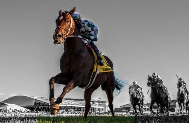 Works report: Cogburn, Gaming lead 17 on Monday-morning tab
