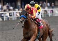 Coil, with Martin Garcia aboard, wins the 2011 Affirmed Handicap at Hollywood.