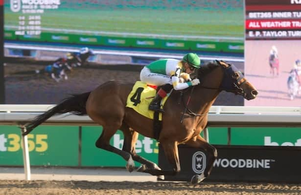 Woodbine: Saturday’s Valedictory Stakes draws field of 11