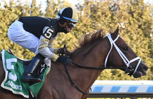 Aqueduct: Colloquial’s maiden win is worthy of a big number