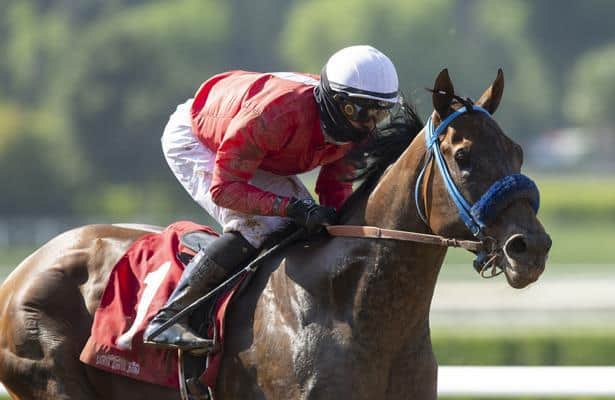 Work tab: 24 graded-stakes winners breeze since Monday
