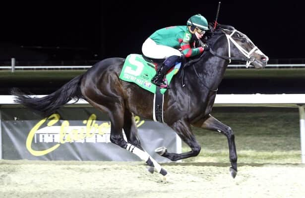 Coming in Hot conquers cold & 8 rivals to win Turfway Prevue