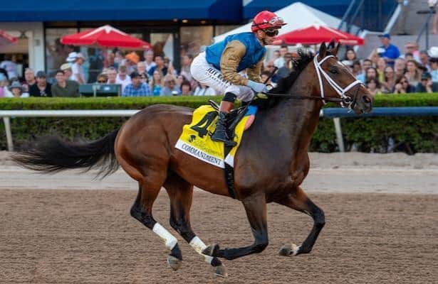 Jim Dandy 2026: Odds and analysis for Saratoga showdown