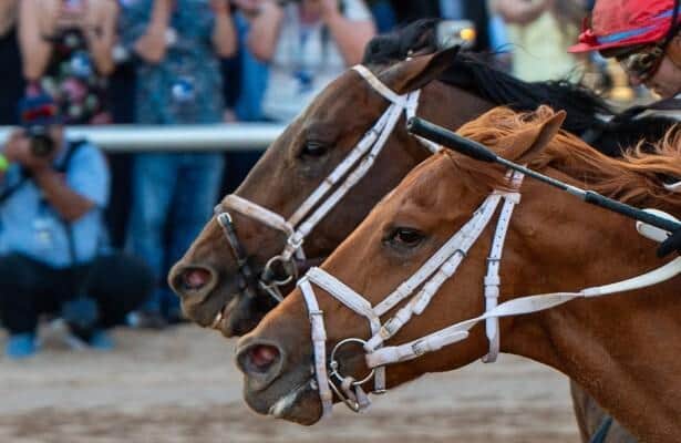 Commandment wins photo vs. The Puma in Florida Derby