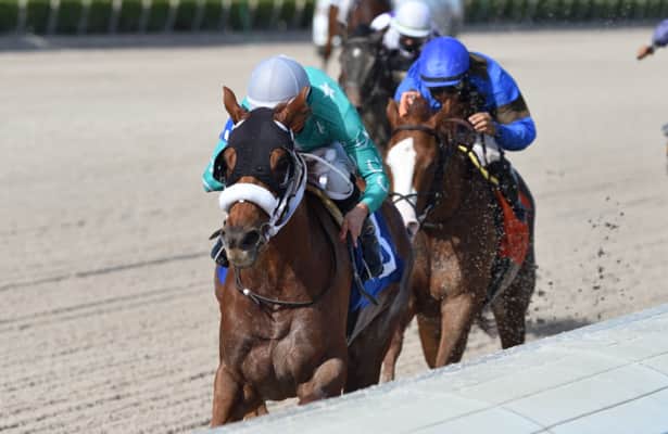 Competitive Speed looks for fourth straight win in Forward Gal