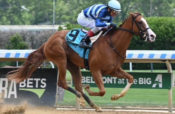 Pedigree stars: Well-bred fillies clash in Schuylerville showdown