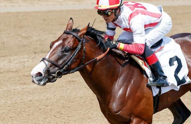 Breeders' Cup Friday stakes analysis, expert picks