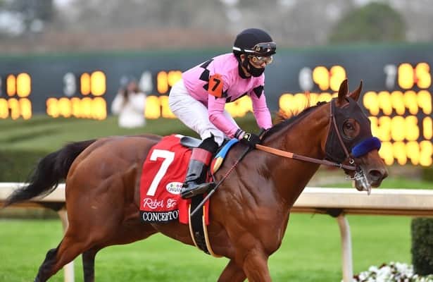 Now with Cox, Concert Tour entered for 1st start since Preakness