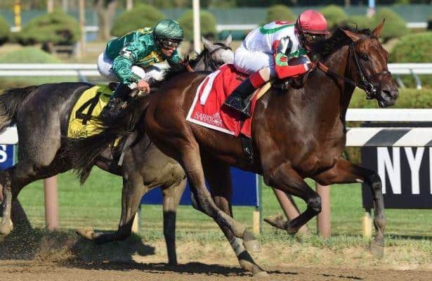 Connect looks to become Late Developer #2 behind Arrogate