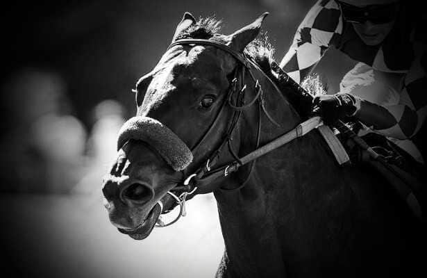 Photo: Horseracingnation