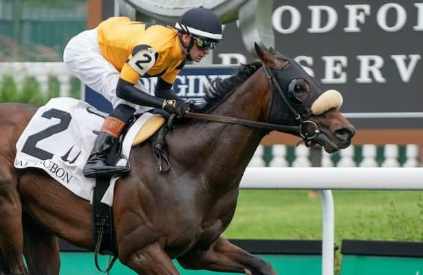 West Point Thoroughbreds is on a roll, with plenty in pipeline