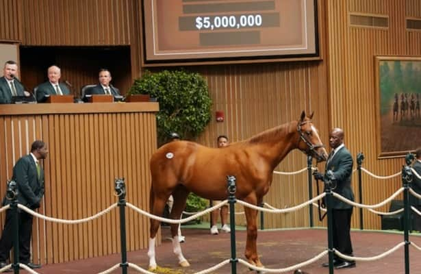 Keeneland: Curlin colt sells for  million to Whisper Hill