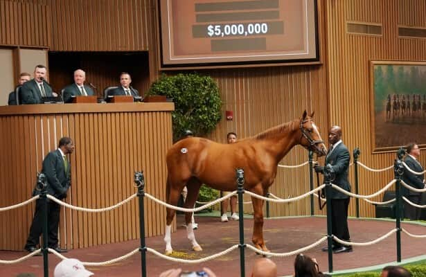 1,749,500: Keeneland rings up record September sale