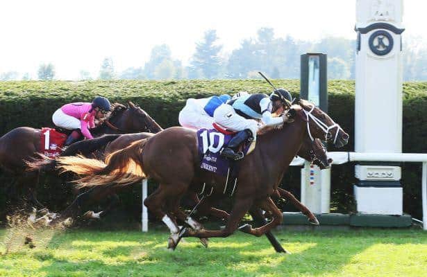 Current takes Keeneland's Bourbon Stakes in photo finish