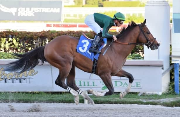 Mackins on Derby trail as Smile Happy takes Ky Jockey Club - Kentucky  Horsemen's Benevolent and Protective Association