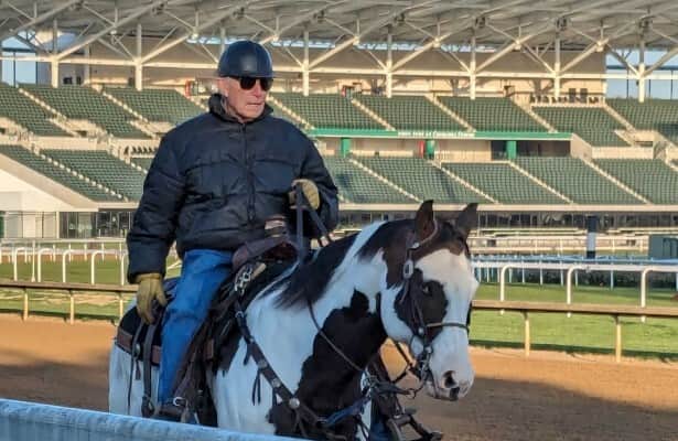 www.horseracingnation.com